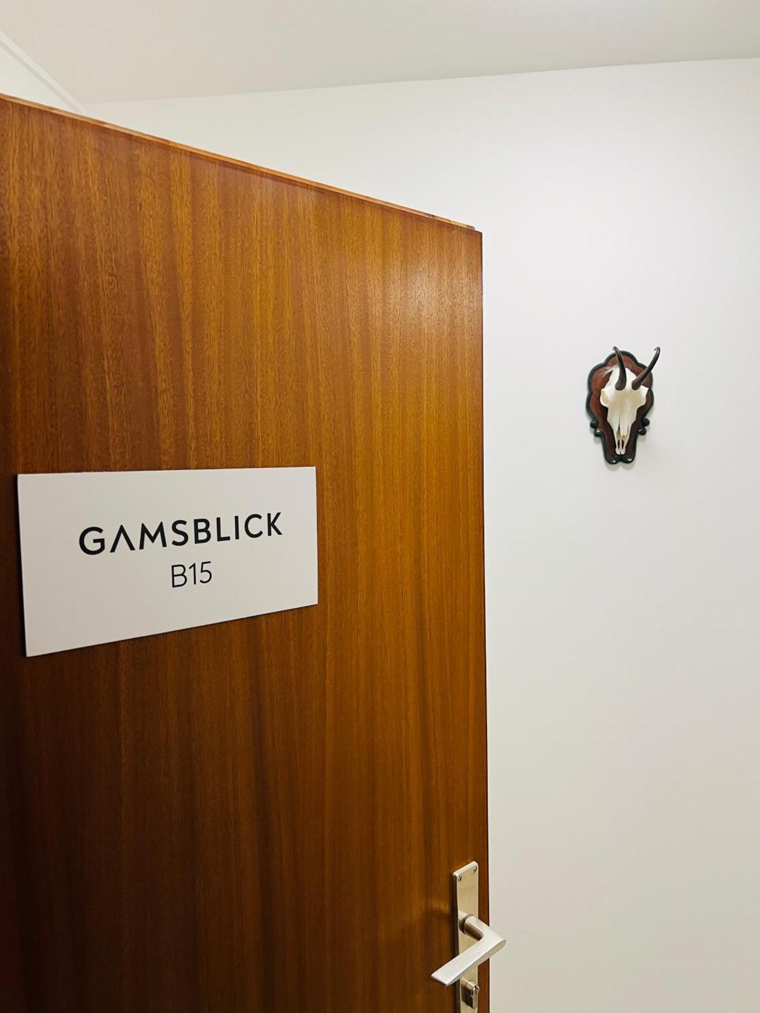 Gamsblick Bad Aussee Ferienwohnung Buitenkant foto